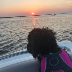 Meet your Posher, Jackie